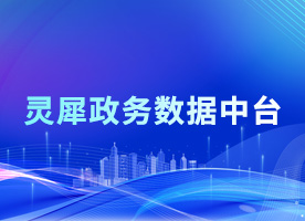 灵犀政务数据中台